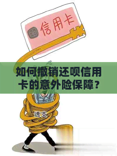 如何撤销还呗信用卡的意外险保障？