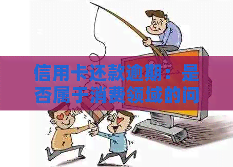 信用卡还款逾期：是否属于消费领域的问题探讨