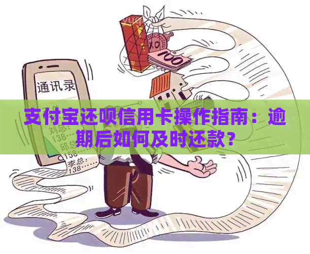 支付宝还呗信用卡操作指南：逾期后如何及时还款？