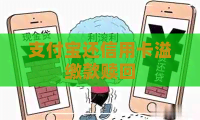 支付宝还信用卡溢缴款赎回