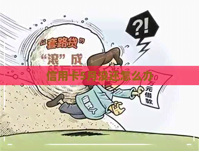 信用卡5月没还怎么办