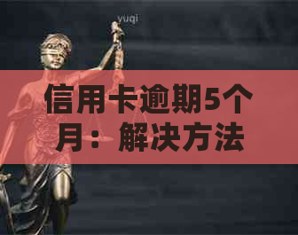 信用卡逾期5个月：解决方法、影响与补救措全面解析