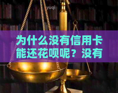 为什么没有信用卡能还花呗呢？没有花呗和信用卡能分期吗？