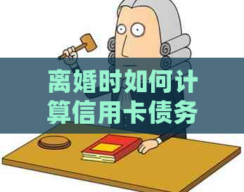 离婚时如何计算信用卡债务的利息：夫妻共同债务处理原则解析