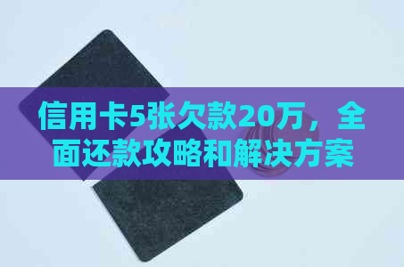 信用卡5张欠款20万，全面还款攻略和解决方案！