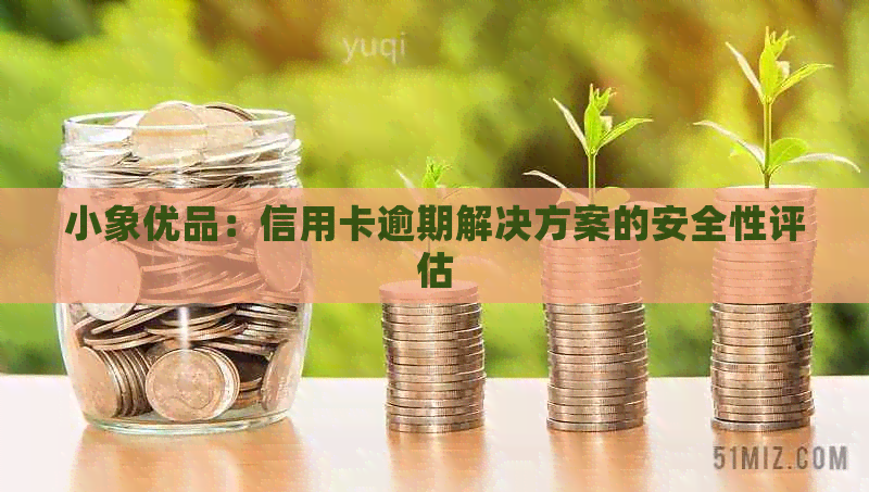 小象优品：信用卡逾期解决方案的安全性评估