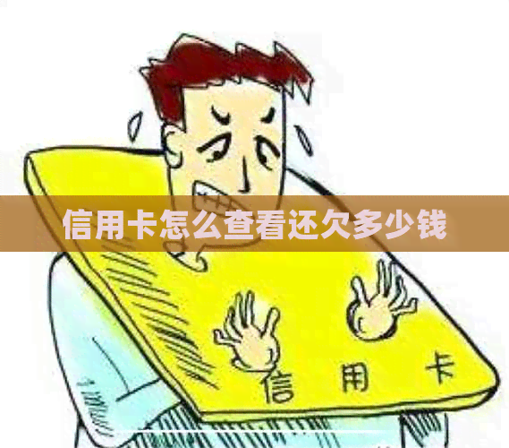 信用卡怎么查看还欠多少钱