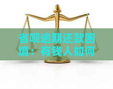 省呗逾期还款困境：有钱人如何解决没钱还的难题？