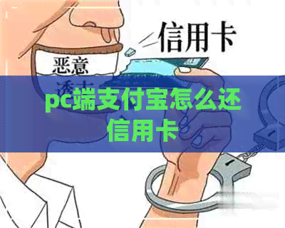 pc端支付宝怎么还信用卡