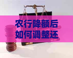 农行降额后如何调整还款计划？