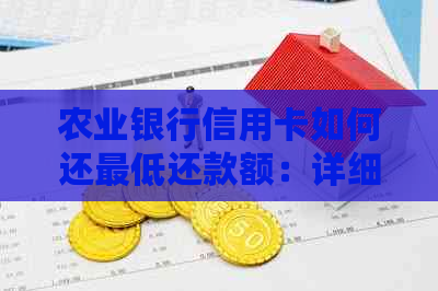 农业银行信用卡如何还更低还款额：详细指南