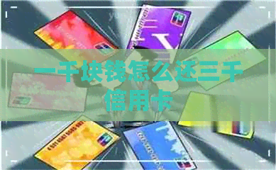 一千块钱怎么还三千信用卡