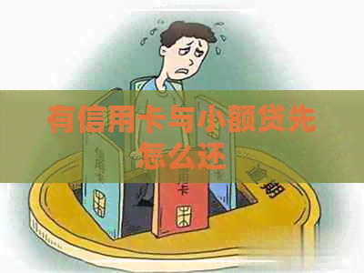 有信用卡与小额贷先怎么还