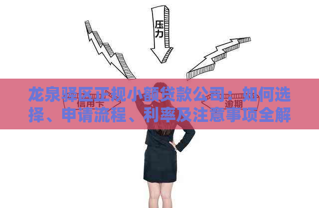 龙泉驿区正规小额贷款公司：如何选择、申请流程、利率及注意事项全解析