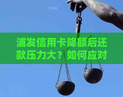 浦发信用卡降额后还款压力大？如何应对？