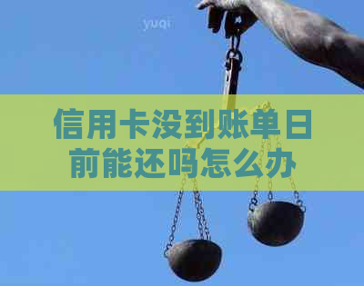 信用卡没到账单日前能还吗怎么办