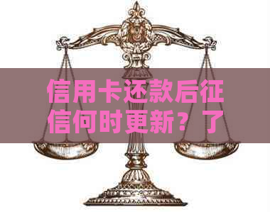 信用卡还款后何时更新？了解信用报告的更新时间规律