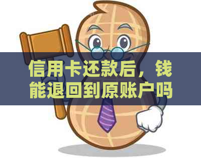 信用卡还款后，钱能退回到原账户吗？退款流程和时间说明