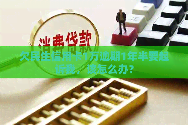 欠民生信用卡1万逾期1年半要起诉我，该怎么办？