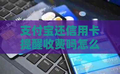 支付宝还信用卡提醒收费吗怎么取消？