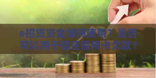 e招贷资金如何使用？是否可以用于偿还信用卡欠款？