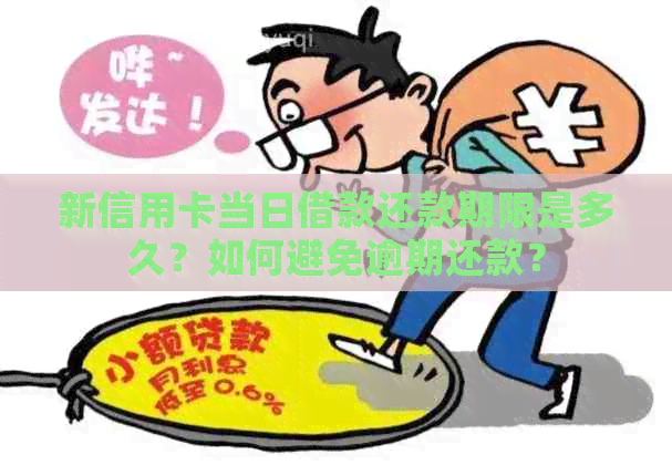 新信用卡当日借款还款期限是多久？如何避免逾期还款？