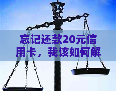 忘记还款20元信用卡，我该如何解决这个问题？