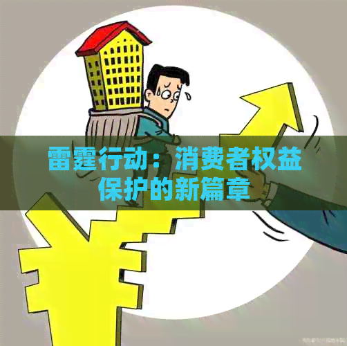 雷霆行动：消费者权益保护的新篇章