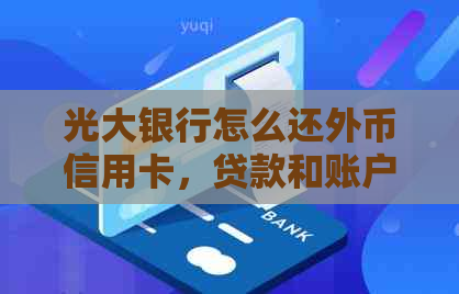 光大银行怎么还外币信用卡，贷款和账户：完整指南