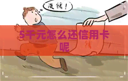 5千元怎么还信用卡呢