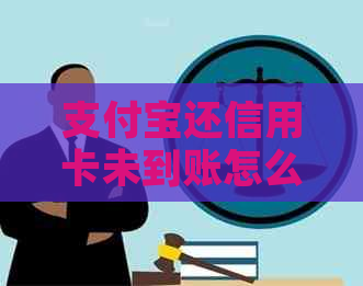 支付宝还信用卡未到账怎么办？原因解析及解决方法