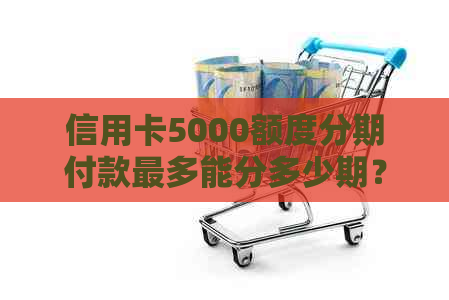 信用卡5000额度分期付款最多能分多少期？