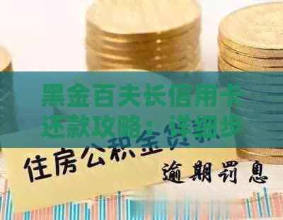 黑金百夫长信用卡还款攻略：详细步骤与注意事项