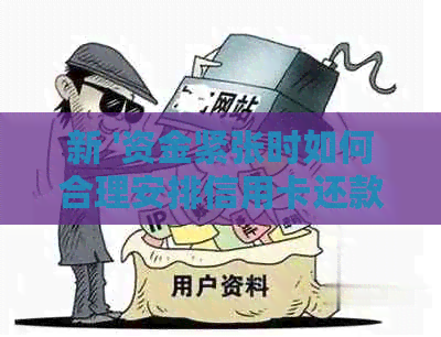 新 '资金紧张时如何合理安排信用卡还款，避免逾期困扰'