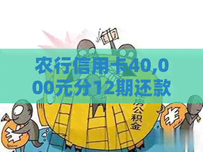 农行信用卡40,000元分12期还款利息计算与分析