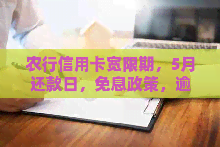 农行信用卡宽限期，5月还款日，免息政策，逾期处理方式