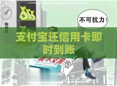 支付宝还信用卡即时到账