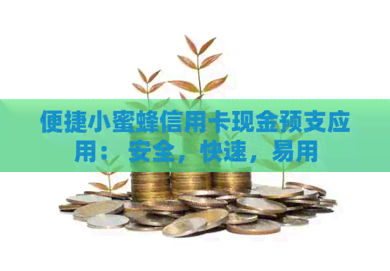 便捷小蜜蜂信用卡现金预支应用： 安全，快速，易用