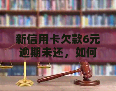 新信用卡欠款6元逾期未还，如何解决？