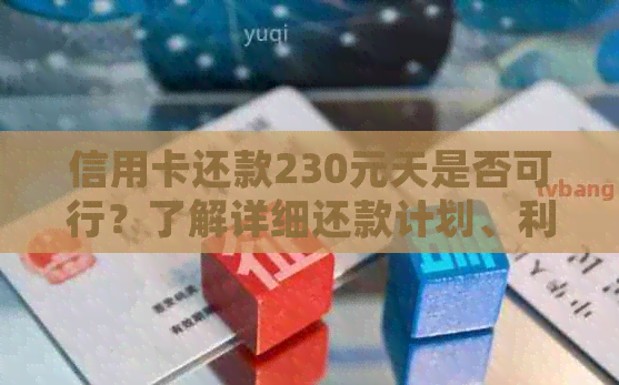 信用卡还款230元天是否可行？了解详细还款计划、利息和限制条件