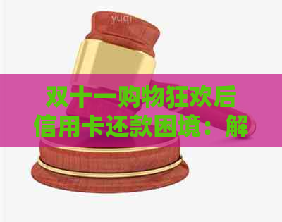 双十一购物狂欢后信用卡还款困境：解决方案与建议