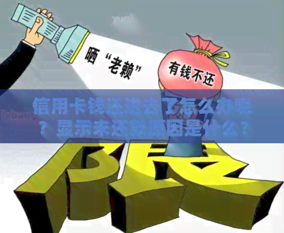 信用卡钱还进去了怎么办呢？显示未还款原因是什么？