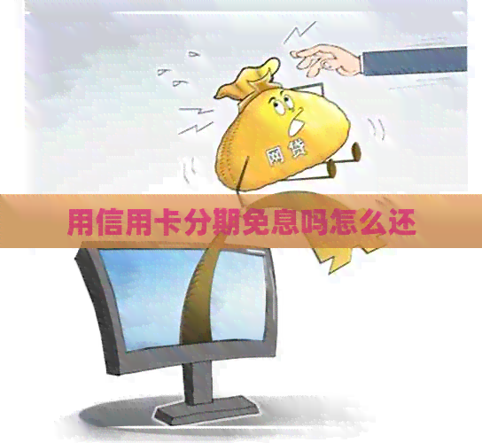 用信用卡分期免息吗怎么还