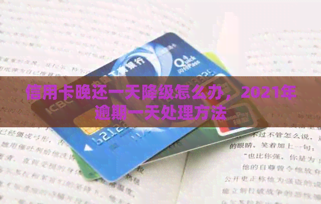 信用卡晚还一天降级怎么办，2021年逾期一天处理方法