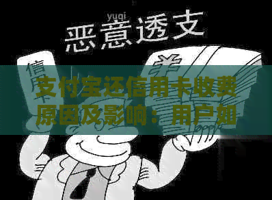 支付宝还信用卡收费原因及影响：用户如何应对？