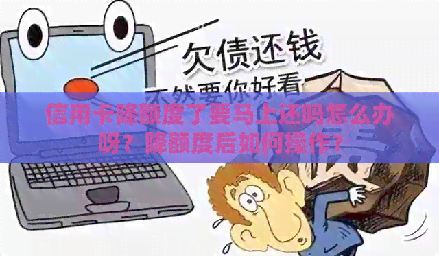 信用卡降额度了要马上还吗怎么办呀？降额度后如何操作？