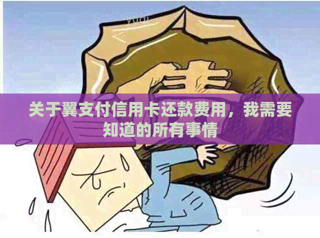 关于翼支付信用卡还款费用，我需要知道的所有事情