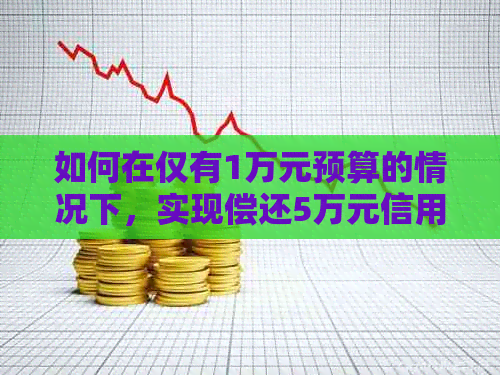 如何在仅有1万元预算的情况下，实现偿还5万元信用卡债务的方法探讨