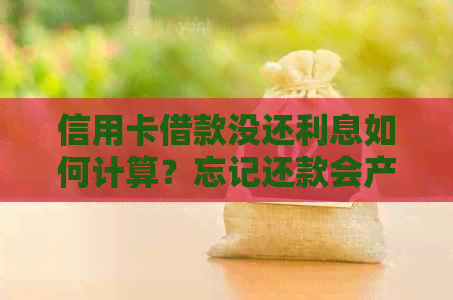 信用卡借款没还利息如何计算？忘记还款会产生什么后果？