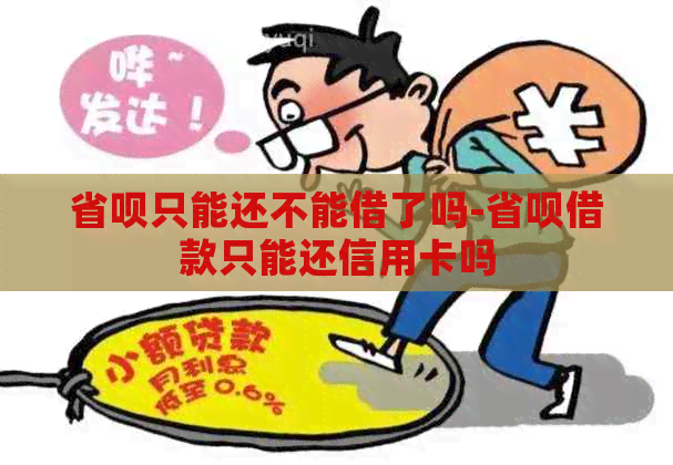 省呗只能还不能借了吗-省呗借款只能还信用卡吗